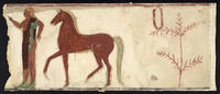Corneto Tarquinia, N. 19, Corsa dei Cavalli o Barone