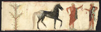 Corneto Tarquinia, N. 19, Corsa dei Cavalli o del Barone
