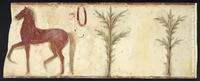 Corneto Tarquinia, N. 19, Corsa dei Cavalli o del Barone
